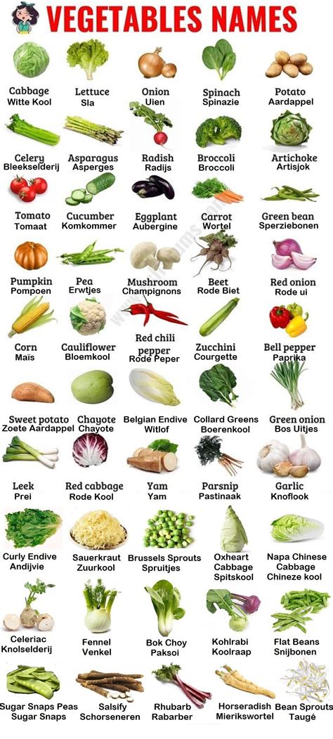 Types of Vegetables: A Comprehensive List with Pictures