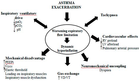 Acute Severe Asthma in Adolescent and Adult Patients: Current ...