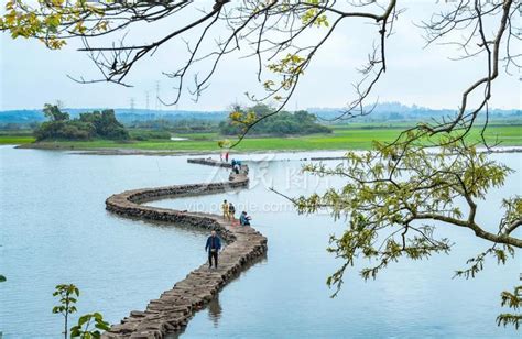 海口：龙塘蛇桥浮春水-人民图片网