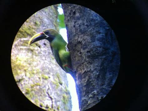 Monteverde Eco Tours - 2022 What to Know Before You Go (with Photos ...