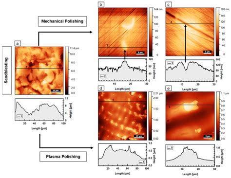 Mechanical and Plasma Electrolytic Polishing of Dental Alloys