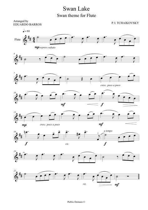 Swan Lake - Swan theme for Flute and Piano (arr. Eduardo Barros) by P ...