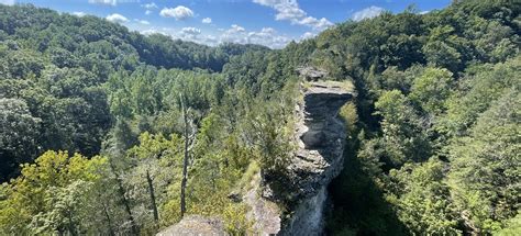 Window Cliffs Trail, Tennessee - 1,581 Reviews, Map | AllTrails