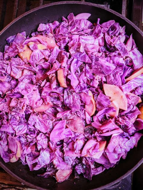 Tender Braised Red Cabbage with Apples and Cider Vinegar - Plants-Rule