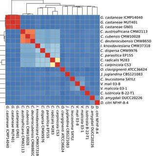 Image result for Anemai Algorithm