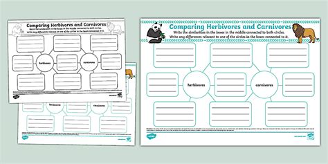 Comparing Herbivores and Carnivores Mind Map
