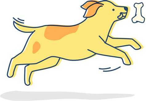 Your Pet Health - Expert Care, Tips & Resources for Your Furry Friends ...