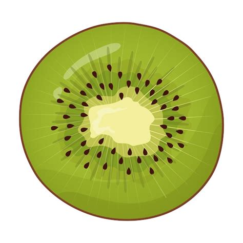 Cartoon vector illustration of slice kiwi fruit | Premium Vector