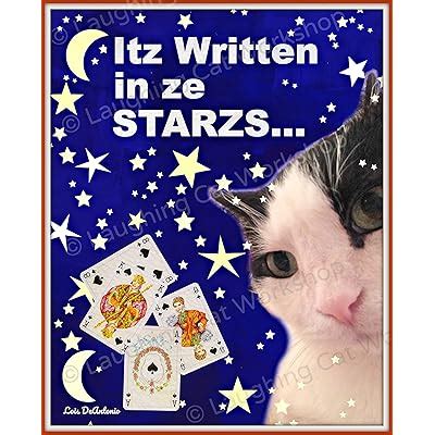 Funny Cat meme Written in the Stars art Grumpy cat India | Ubuy
