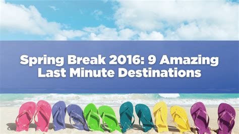 Image result for Spring Break 2016 Competition
