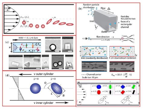 Fabrication and Manipulation of Non-Spherical Particles in Microfluidic ...