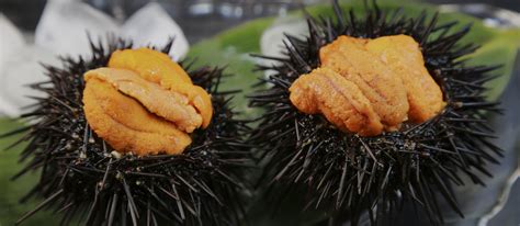 Sea Urchin Sushi Taste