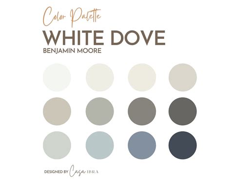 Dove Gray Paint Color