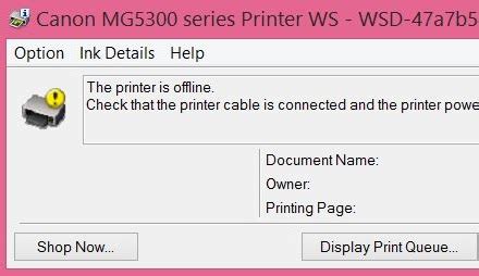 Image result for Printer Offline How to Fix