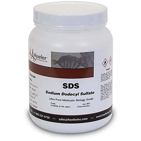 Sodium Dodecyl Sulfate (SDS)