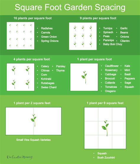 100 Vegetable Garden Plan Square Feet 7 Practical + Inspiring 10 X 10
