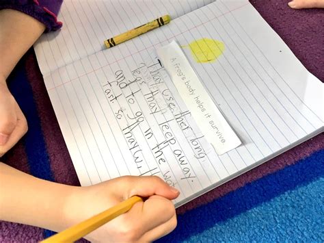 Inform and Explain 的图像结果