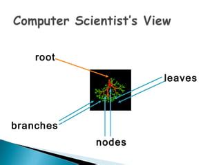 Data Structure Tree Leaf to Root 的图像结果
