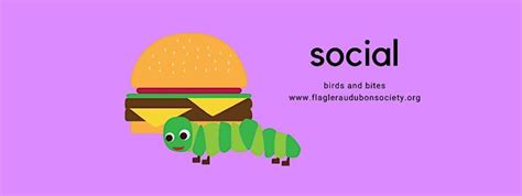 Member Happy Hour: All About Birds with Art LaMay, Art LaMay Studios ...