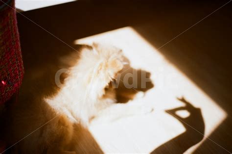 Image result for Computer Science Background Light