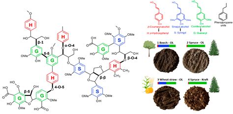 The Impact of Lignin Biopolymer Sources, Isolation, and Size Reduction ...