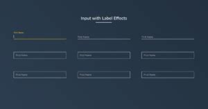 Image result for Input CSS Effect