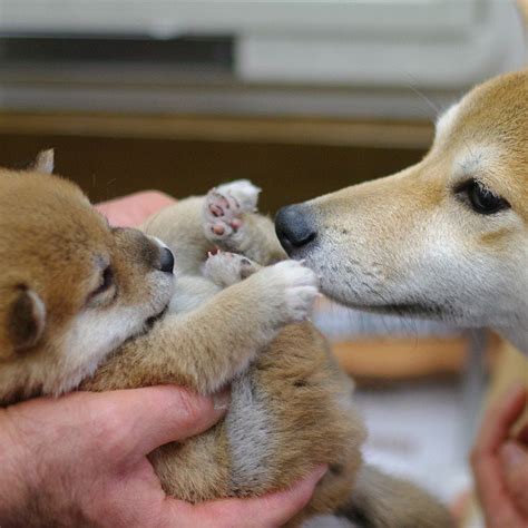 Photo | from my tumblr blog | Doug Addams | Flickr