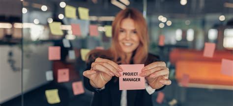 Project Manager 的图像结果