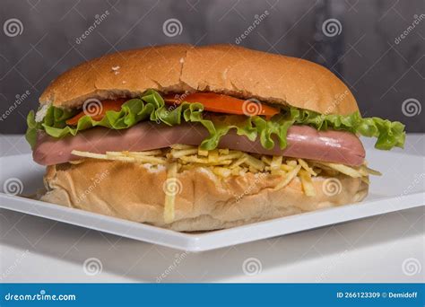 Big hot dog stock image. Image of party, restaurant - 266123309