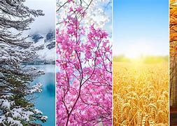 Four Seasons 的图像结果