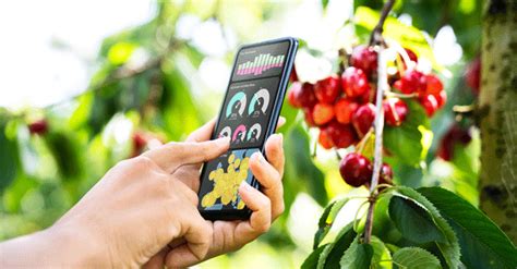 Google announces virtual bootcamp for agritech startups in India