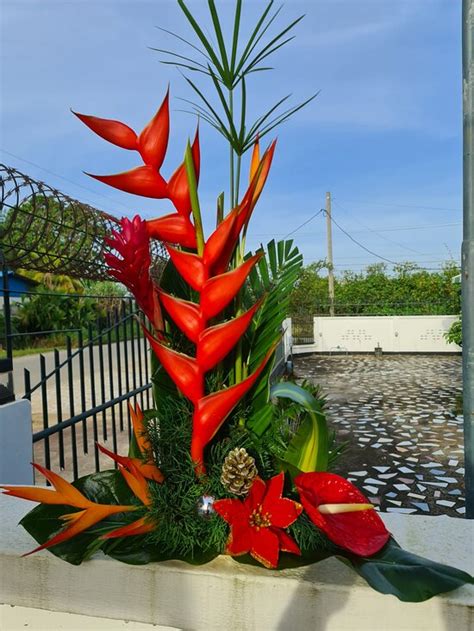 KWARTS APPARTEMENTEN (Paramaribo) - Lodging Reviews, Photos, Rate ...