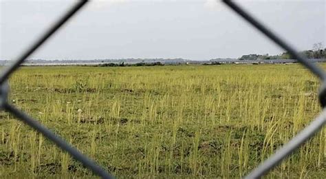 The BJP in Assam says it champions ‘indigenous’ rights. So what ...