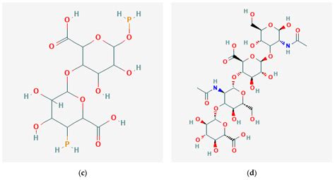 Development of Scaffolds from Bio-Based Natural Materials for Tissue ...