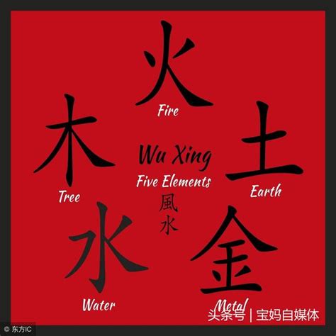 Chinese Character Evolution and Strokes汉字演变+笔画 |木mu / wood, tree, lumber