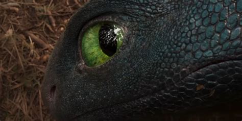 Image result for Toothless Model Live-Action