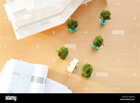 Image result for Building Model Trees