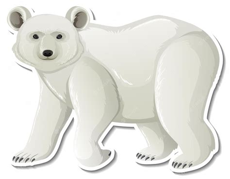 bear whites - Clip Art Library