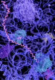 Image result for Enzyme Replacement Therapy Explained