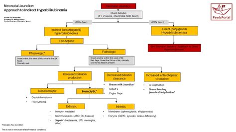 Image result for Neonatal Jaundice Algorithm