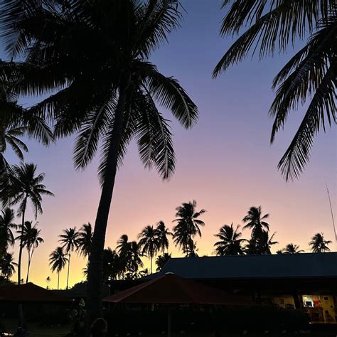 NUKUBATI GREAT SEA REEF (Nukubati Island) - All-inclusive Resort ...