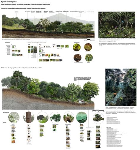 From the Towering Progenies to the Stunted Progenitors | CEPT - Portfolio