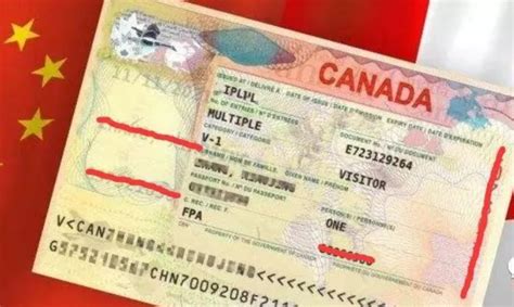 加拿大高管工作签证