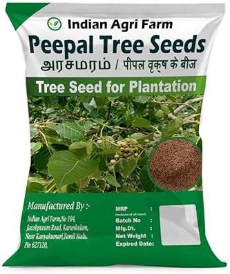 Iagrifarm Peepal Tree Seed - 1 Kg - Ficus Religiosa/Arasamarm Tree Seed ...