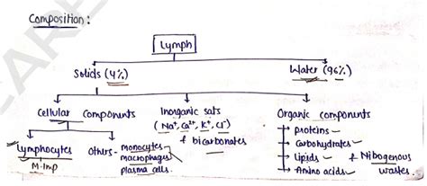 Human Anatomy And Physiology 1 Unit 3 Notes - 1st Semester B Pharmacy ...