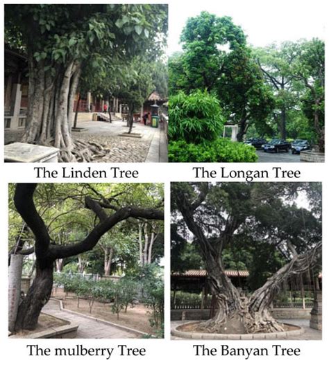 A Creative Analysis of Factors Affecting the Landscape Construction of ...