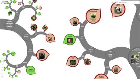 Evolution Family Tree 的图像结果