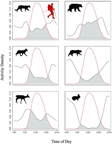 What Are Kernel Times 的图像结果