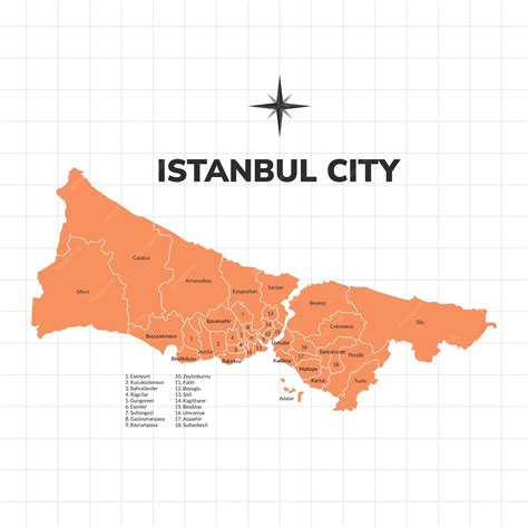 Premium Vector | Istanbul city map illustration map of the city in turkey