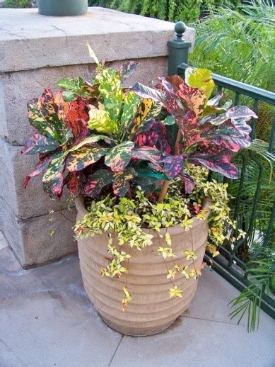 Image result for Homemade Flower Containers